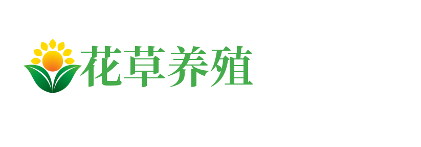 MacOS真的比Windows流畅吗？_泰宁县德盛软陶制作有限公司